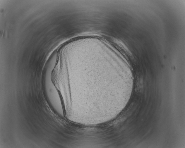 X0000087421268200705181413