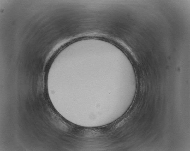X0000087421270200705181413