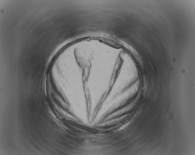 X0000087421272200705181413