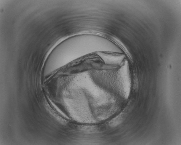 X0000087421284200705181413