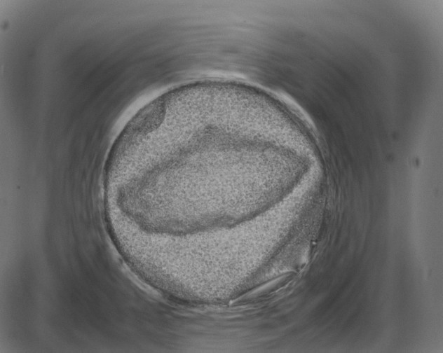 X0000087421287200705181413