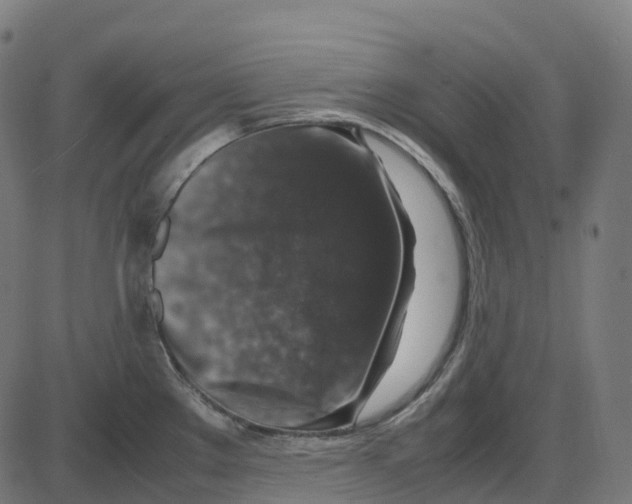 X0000087421289200705181413