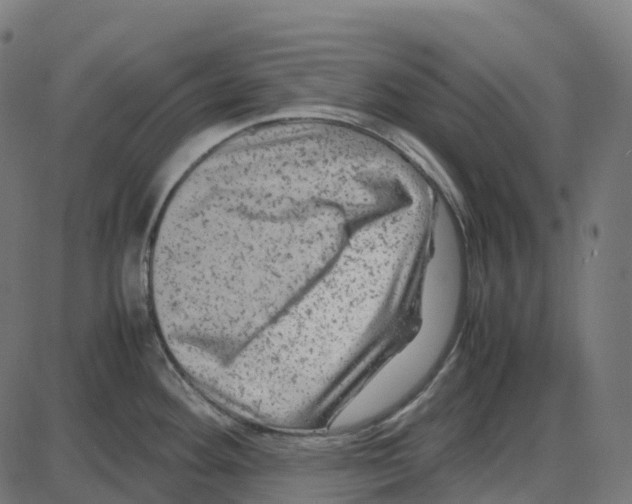 X0000087421292200705181413