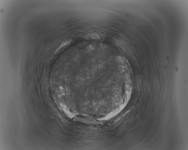 X0000087421297200705181412