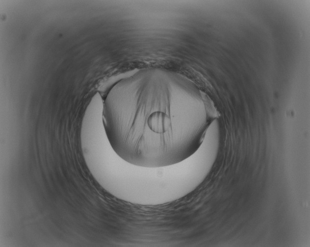 X0000087421298200705181412