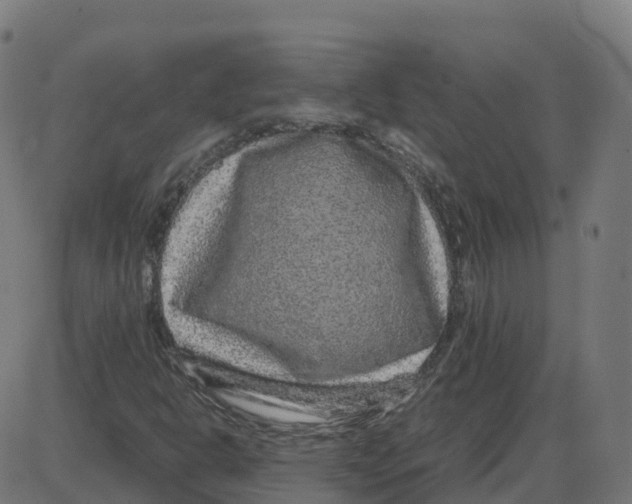 X0000087421302200705181412