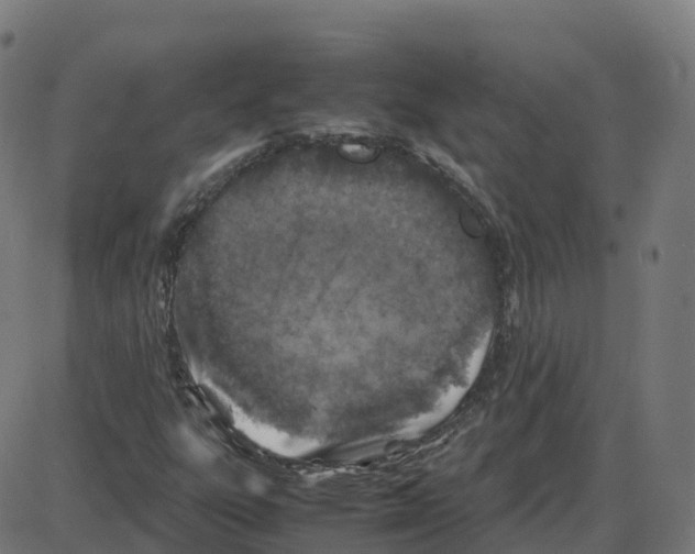 X0000087421303200705181412