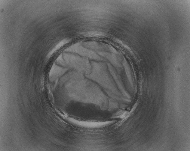 X0000087421306200705181412