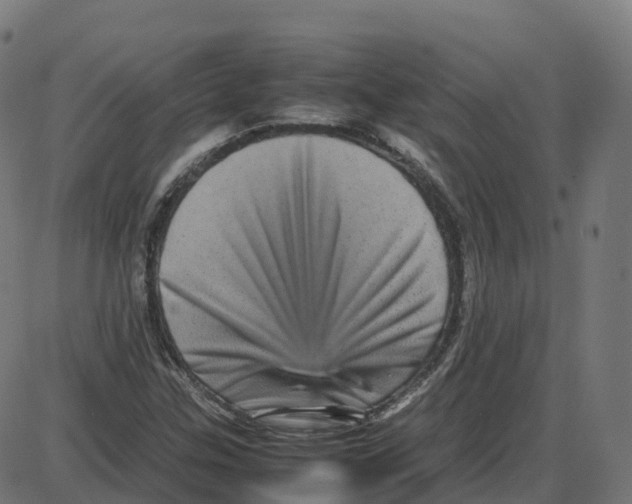X0000087421307200705181412