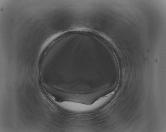 X0000087421319200705181413