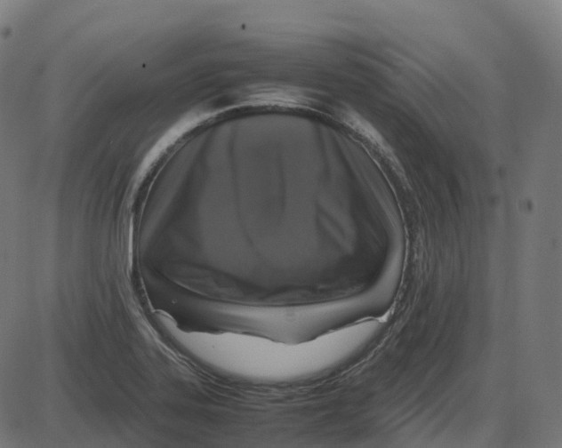 X0000087421323200705181413