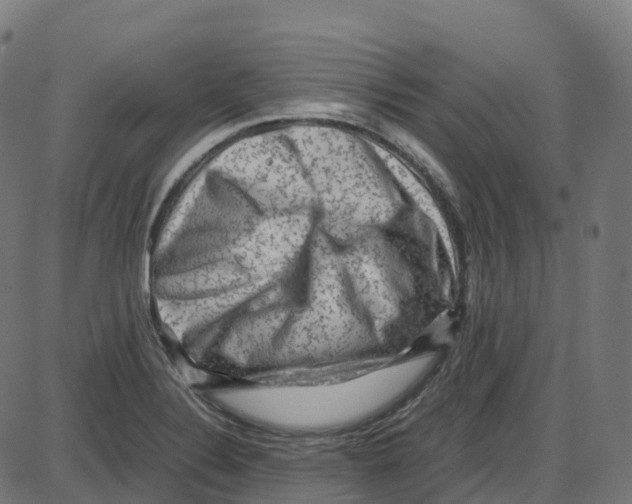 X0000087421324200705181413