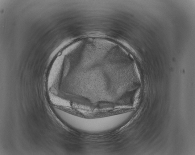 X0000087421325200705181413