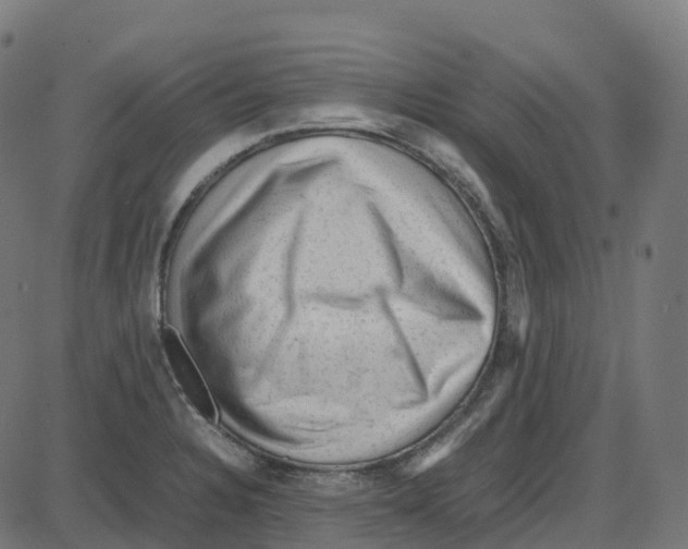 X0000087421328200705181413