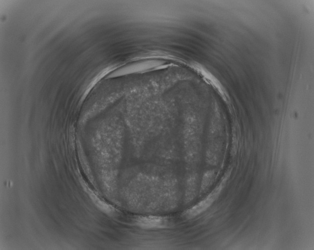 X0000087421329200705181413