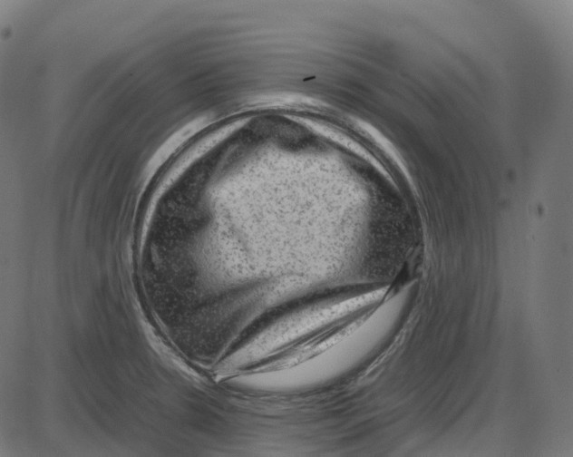 X0000087421330200705181413