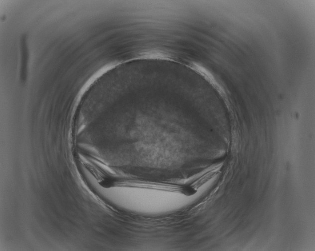 X0000087421331200705181413