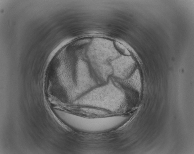 X0000087421333200705181413