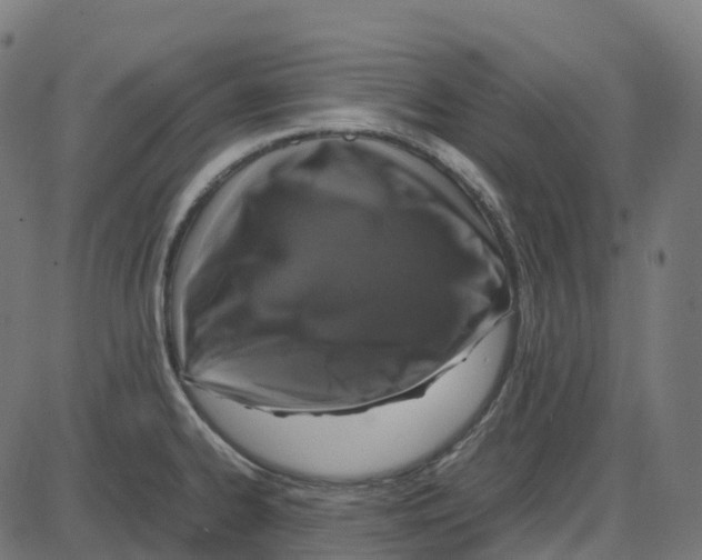 X0000087421334200705181413