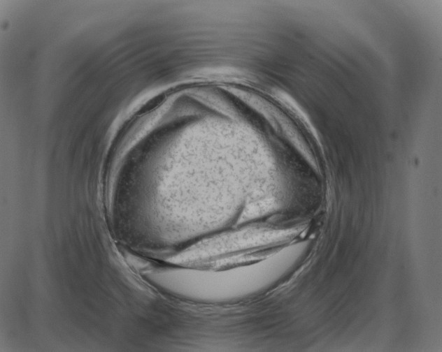 X0000087421336200705181413