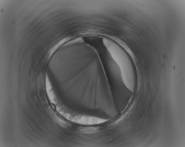 X0000087421337200705181413