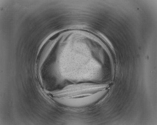 X0000087421340200705181413