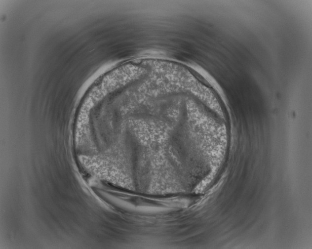 X0000087421341200705181413