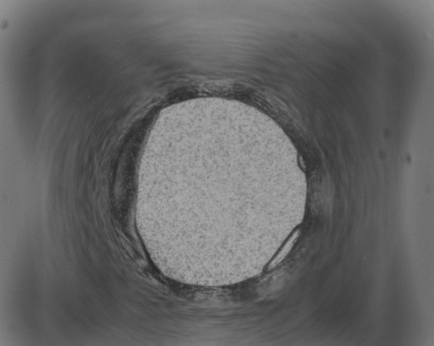 X0000087421345200705181412
