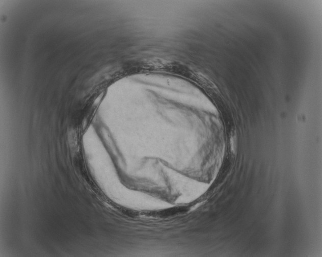 X0000087421347200705181412