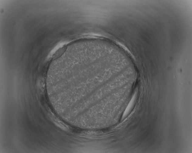 X0000087421355200705181412
