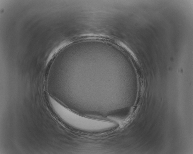 X0000087421357200705181412