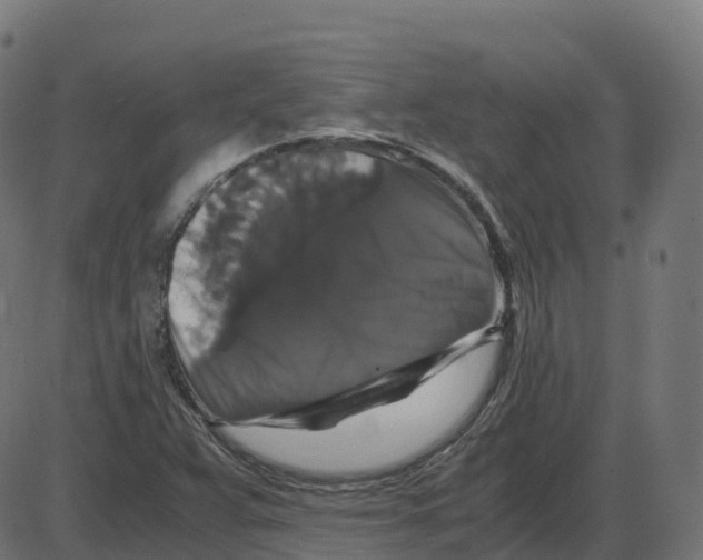 X0000087421359200705181412