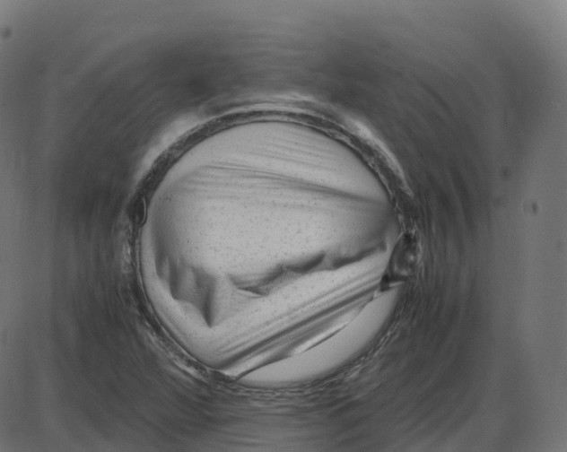 X0000087421360200705181412