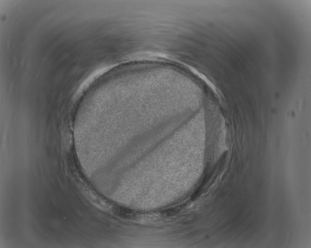 X0000087421363200705181412