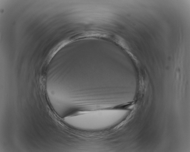 X0000087421369200705181412
