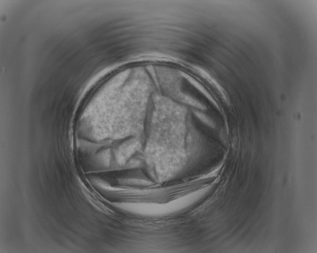 X0000087421372200705181412