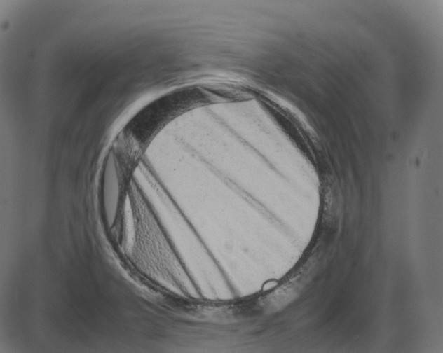X0000087421375200705181412