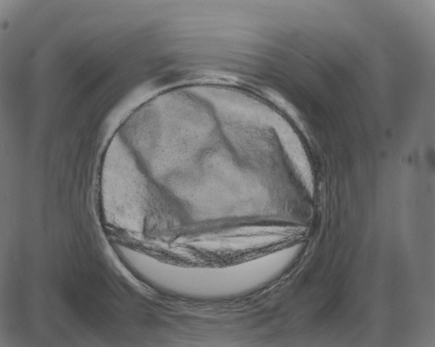 X0000087421379200705181412