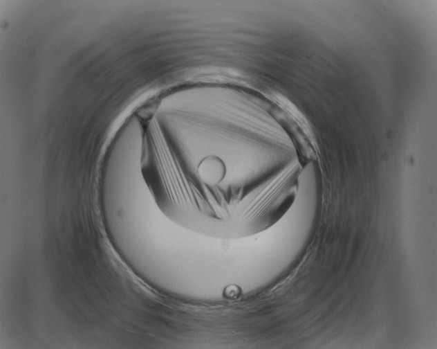 X0000087421384200705181412