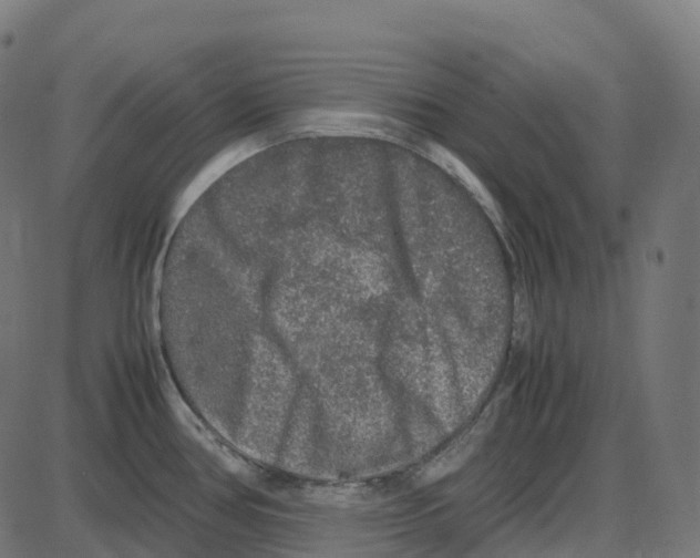 X0000087421386200705181412