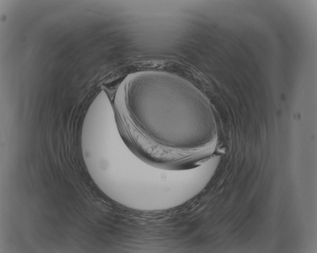 X0000087421394200705181411