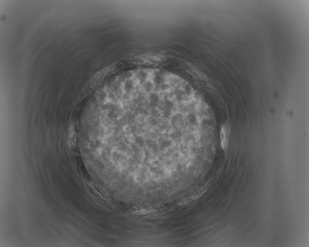 X0000087421395200705181411