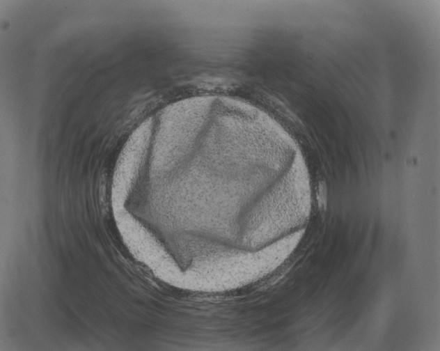 X0000087421396200705181411