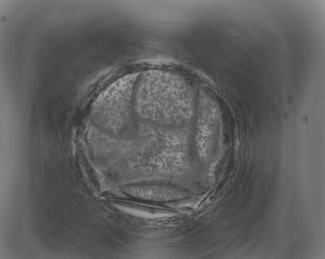 X0000087421398200705181411