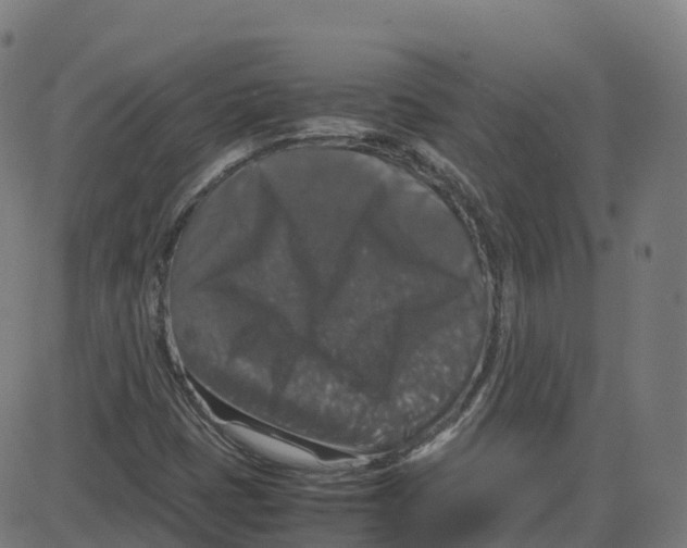 X0000087421401200705181411
