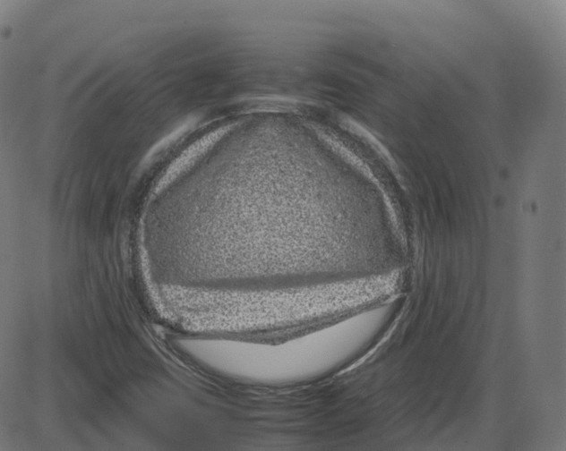 X0000087421403200705181411