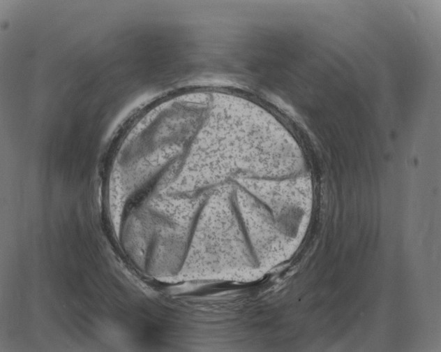 X0000087421408200705181411