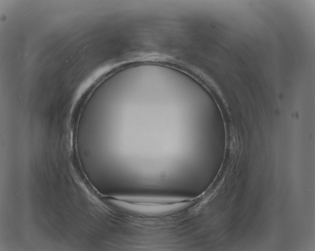X0000087421414200705181411
