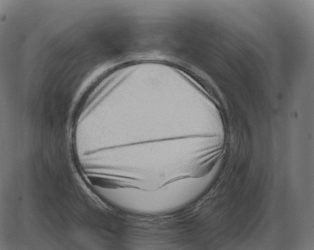 X0000087421416200705181411