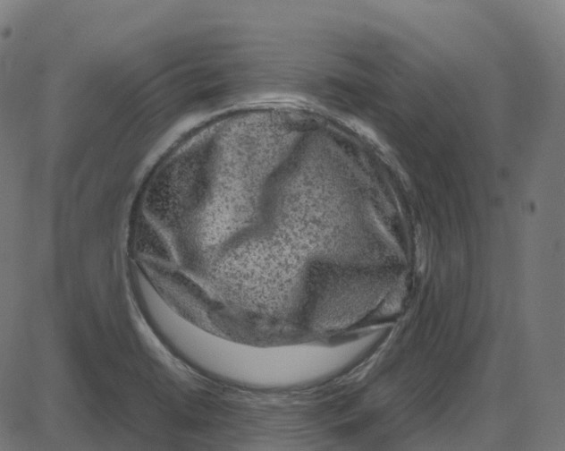 X0000087421422200705181411